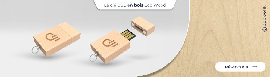 Clé USB bois Eco Wood personnalisée - desktop