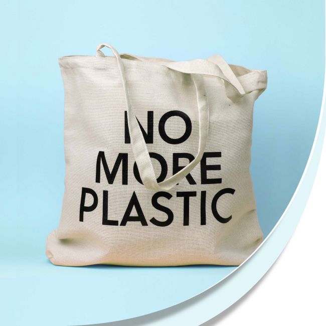 Plastiques jetables interdits quelles alternatives pour les entreprises