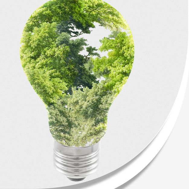 Ampoule écologique végétale