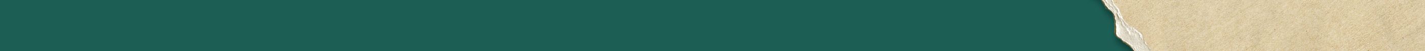image header cadoetik