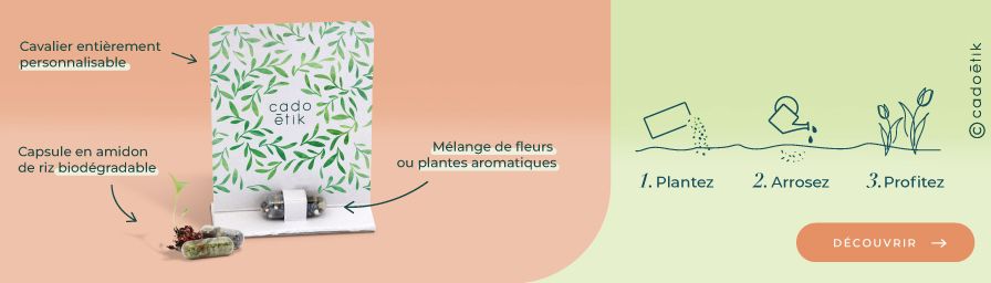 bandeau image graine top 20 goodies innovants - desktop