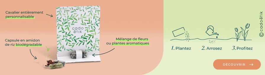 bandeau image goodies originaux graines en gélule biodegradable