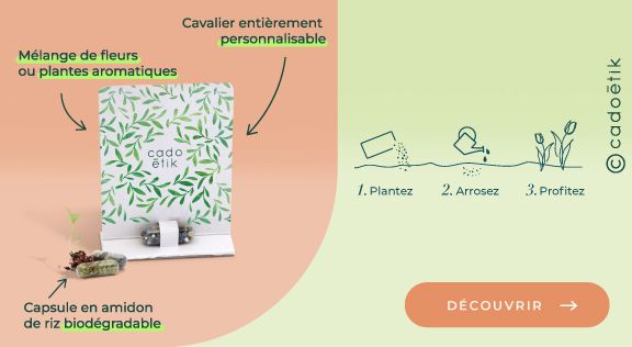 bandeau image goodies originaux graines en gélule biodegradable mobile