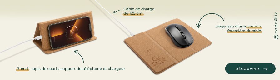 bandeau image - goodies originaux tapis de souris 3 en 1 - desktop