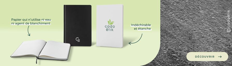 Bandeau image Desktop - Goodies innovants - Carnet de pierre