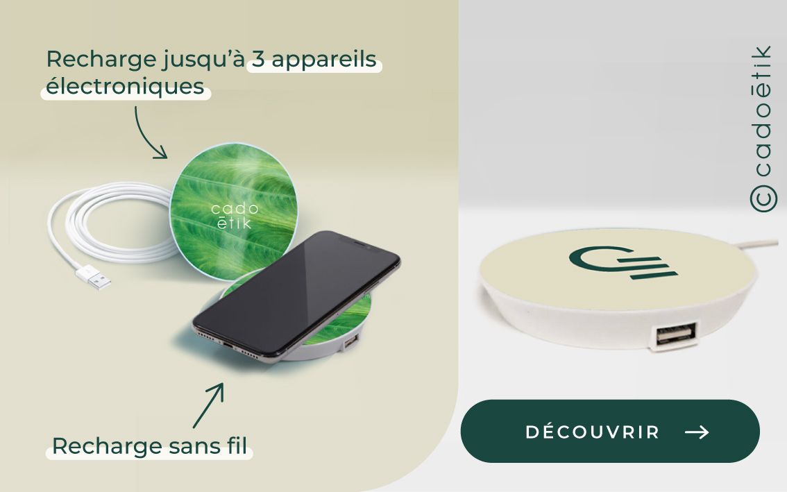 cadoetik_Bandeau-chargeur-à-induction-responsive.jpg