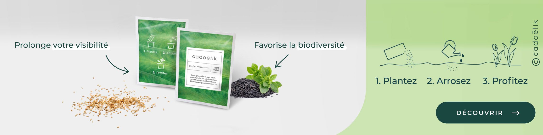 cadoetik_Bandeau-graines.jpg