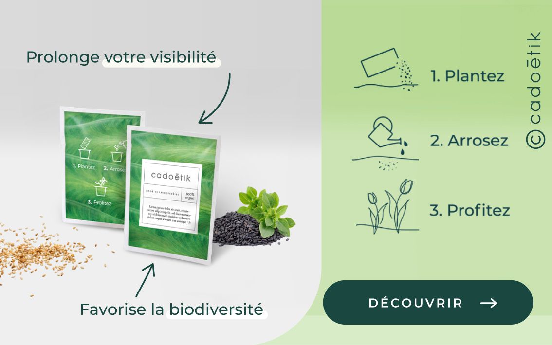 cadoetik_Bandeau-graines-responsive.jpg
