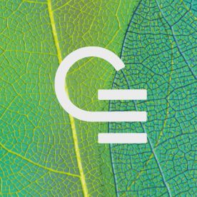 impression numérique 1