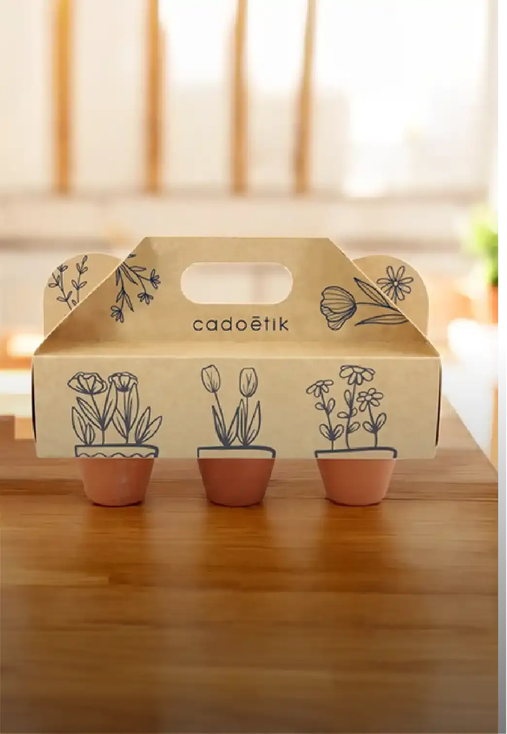 plantes made in france