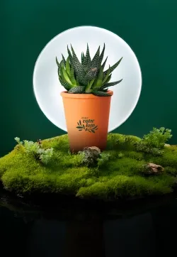 plantes made in france