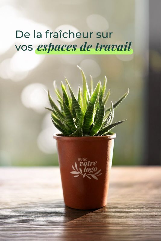 push mea plante