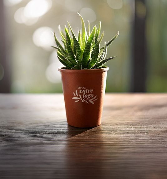 cadoetik_Push_Plantes_et_graines_28c1f63769.jpg