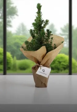 cadoetik_Sélection Noël et Fin d'année - 100% noel_Plan de travail 1 copie 6.webp