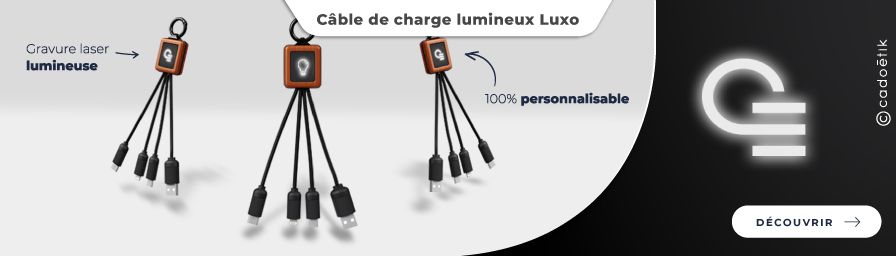 Goodies entreprise innovant – Câble de charge lumineux – Desktop