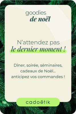 Push marque goodies de noel