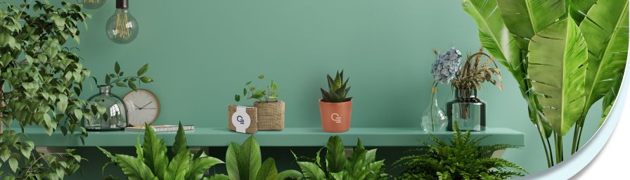 Top goodies personnalisés plantes - desktop